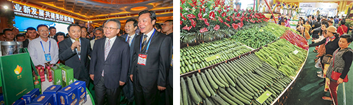 2017年中国（海南）国際熱帯農産品ウィンタートレードフェア