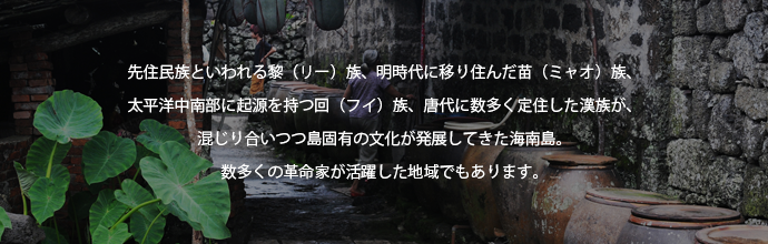 民族・文化・歴史5　黎（リー）族、苗（ミャオ）族、回（フイ）族、漢族が、混じり合いつつ発展してきた島固有の文化をご紹介。